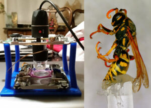 LadyBug miniature microscope