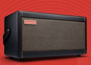 Positive Grid Spark amplifier