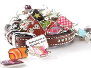 Blanket ID Tag + Membership