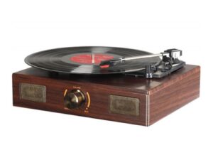 LuguLake Vinyl Record Player