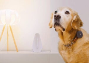 Pet GPS tracker