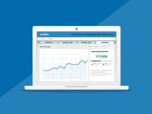Seobility All-In-One SEO Software & Tools