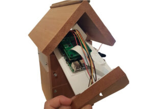 Raspberry Pi nest box