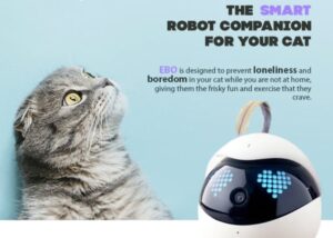 cat remotely