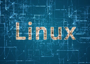 Introduction to the Linux terminal
