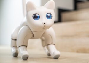 MarsCat programmable robot cat