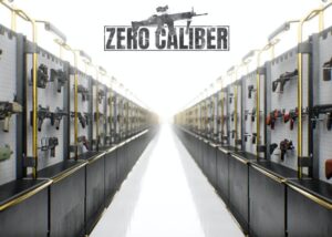 VR FPS