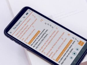 Beelinguapp Language Learning App