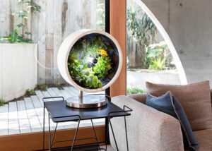 Indoor garden