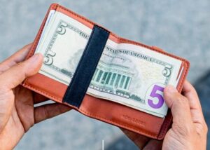 Kubi vegan wallet