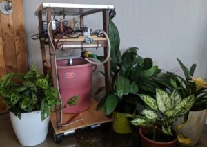 plant irrigation