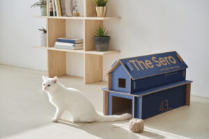 Samsung Lifestyle TVs