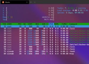 Windows 10 Linux GUI apps