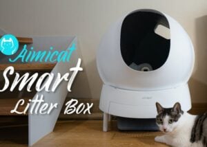 cat litter box