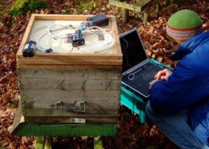 Raspberry Pi BeeMonitor