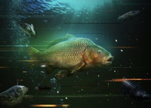 fishing game