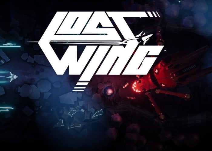 Lost Wing