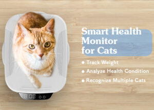 cat health monitor