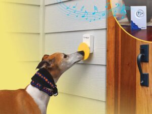 Pebble Smart Doggie Doorbell
