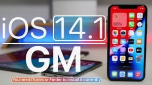 iOS 14.1 GM
