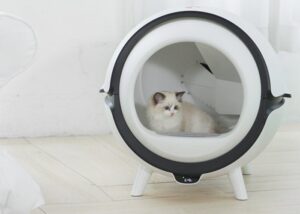 automatic cleaning cat litter-box