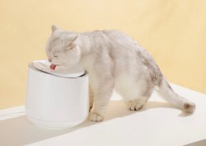 pet water fountain