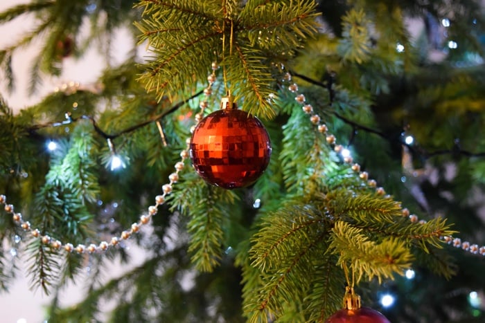 Merry Christmas