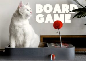 cat toy