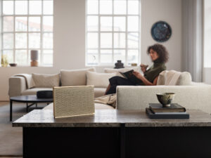 Bang & Olufsen Beosound Level