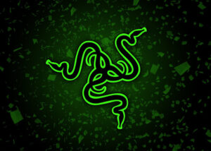 Razer acquires Controller Gear