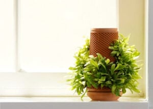 indoor garden