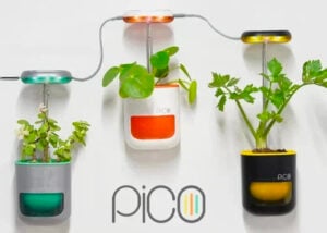 indoor garden