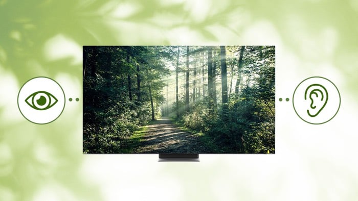 Samsung Smart TVs