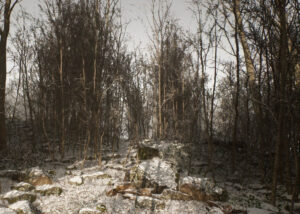 Abandoned survival game