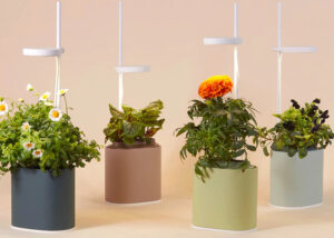Nano indoor garden