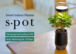indoor garden