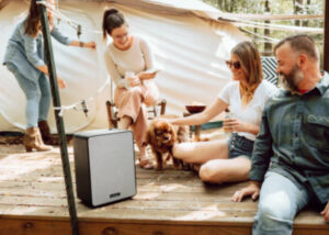 portable wireless speaker