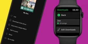 Spotify Apple Watch