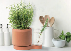 automatic watering pot