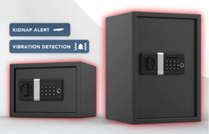 Internet of Things safe