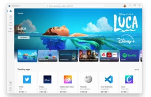 Windows 11 store