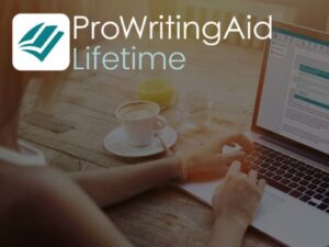 Bestselling ProWritingAid Lifetime Subscription Bundle