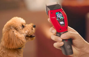 Dog care home pet clipper