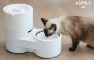 Drinkie self-cleaning cat water fountain