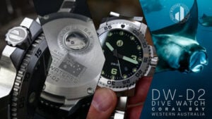 DW-D2 diving watch