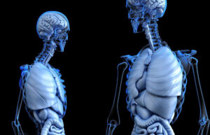 NVIDIA Deep Learning used to create 3D images from X-ray Data