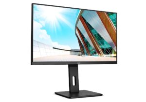 professional QHD and 4K displays