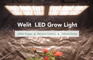 Grow light
