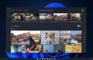 New Microsoft Windows 11 Photos app