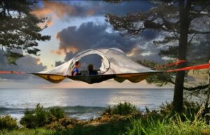 Spider Tree Tent